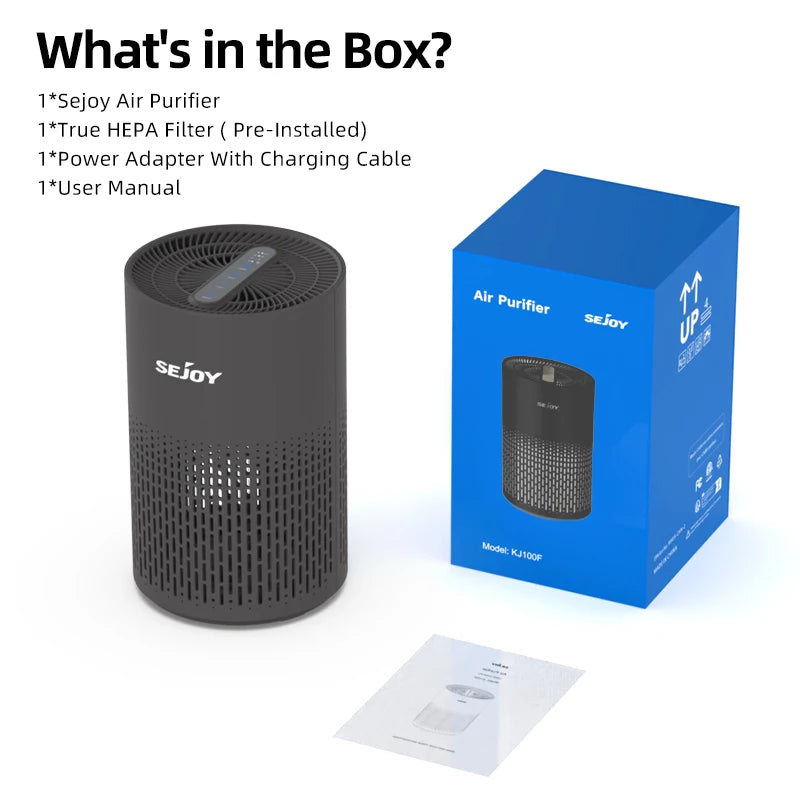 Air Purifier For Allergies And Pets Hair