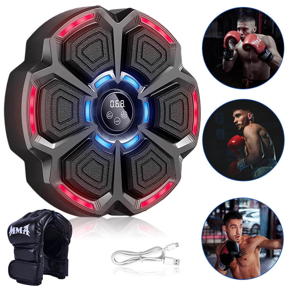 Electronic Boxing Training Wall Target- Wall Mounted