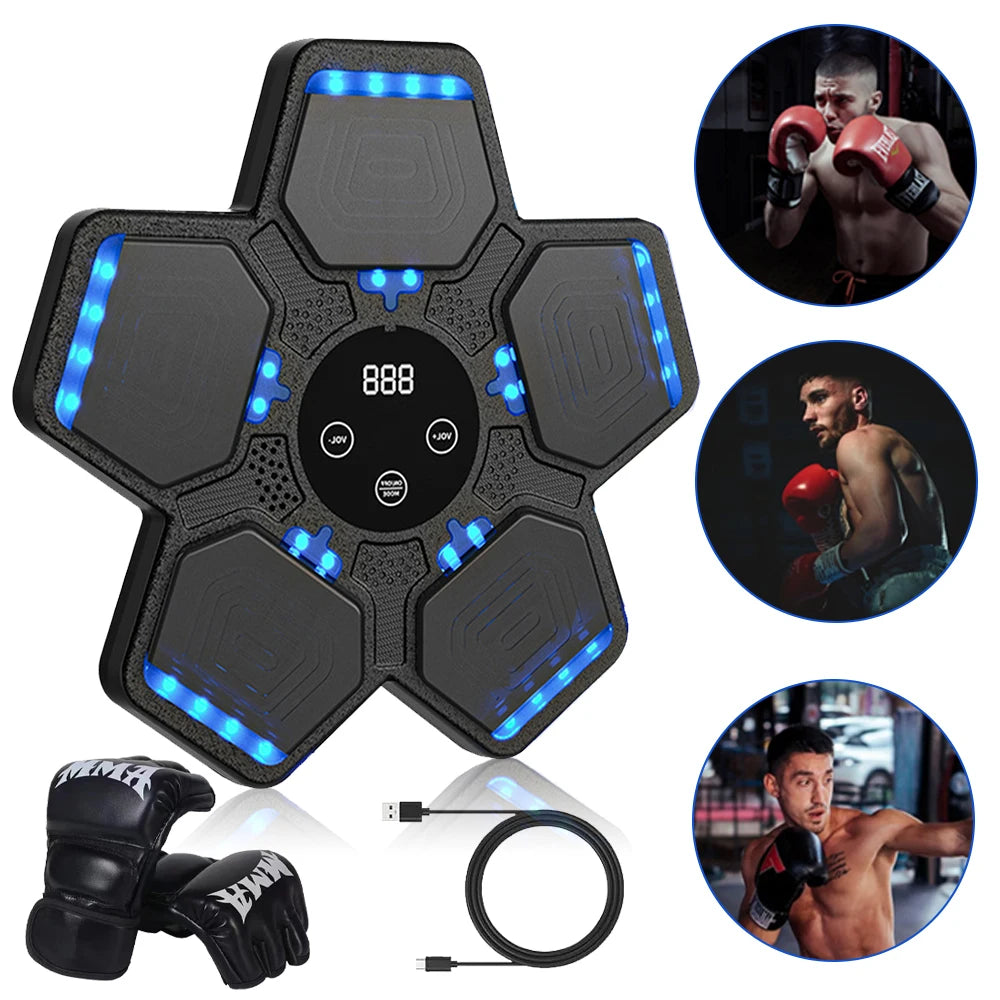 Electronic Boxing Training Wall Target- Wall Mounted