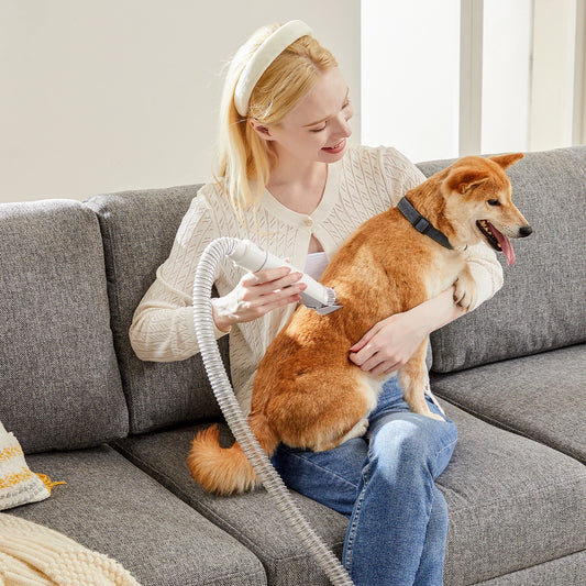 Pet Grooming Vacuum Kit With 3 Suction Modes