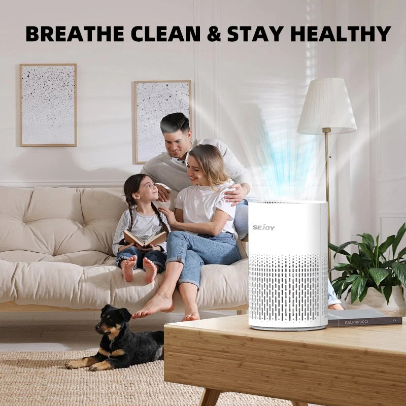 Air Purifier For Allergies And Pets Hair