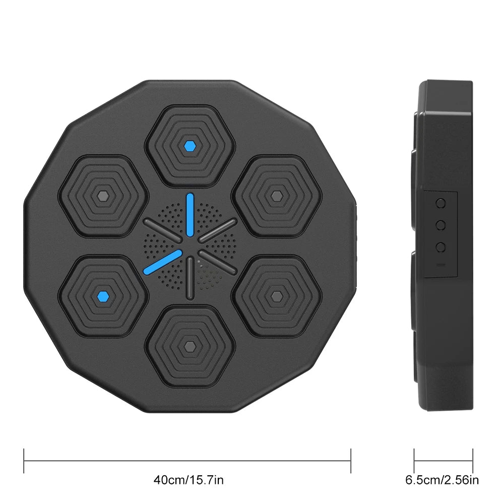 Electronic Boxing Training Wall Target- Wall Mounted