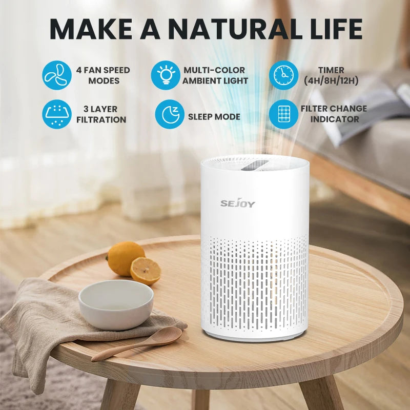 Air Purifier For Allergies And Pets Hair