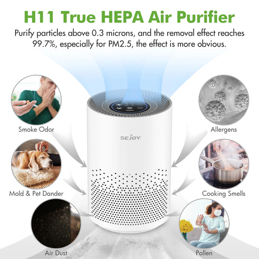 Air Purifier Smoke Odor Negative Ion Generator with Aromatherapy