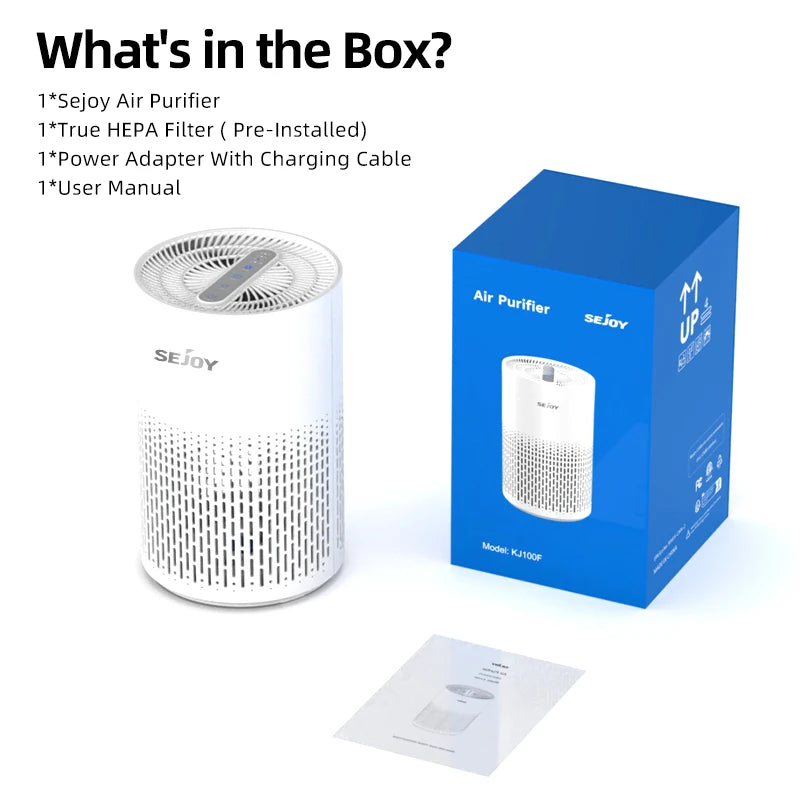 Air Purifier For Allergies And Pets Hair