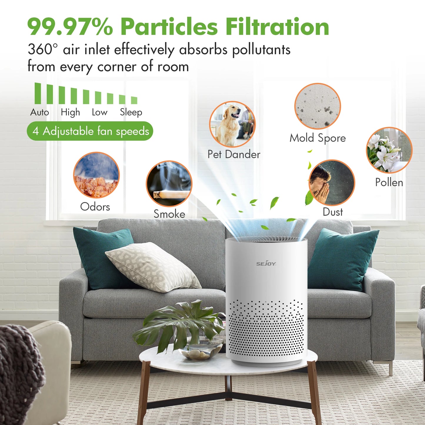 Air Purifier Smoke Odor Negative Ion Generator with Aromatherapy
