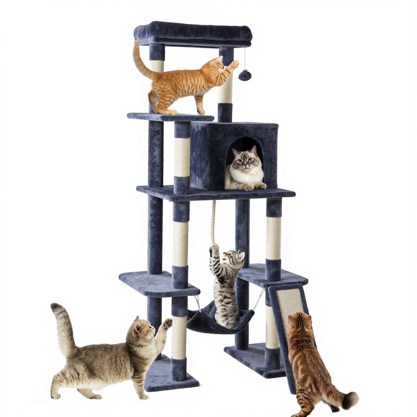 63-Inch Multi-Level Cat Tree for Indoor Cats