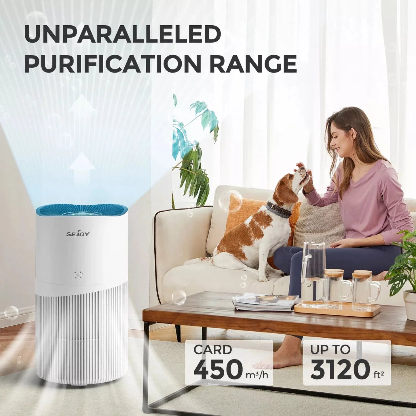 SEJOY HEPA Air Purifier For Home Allergies