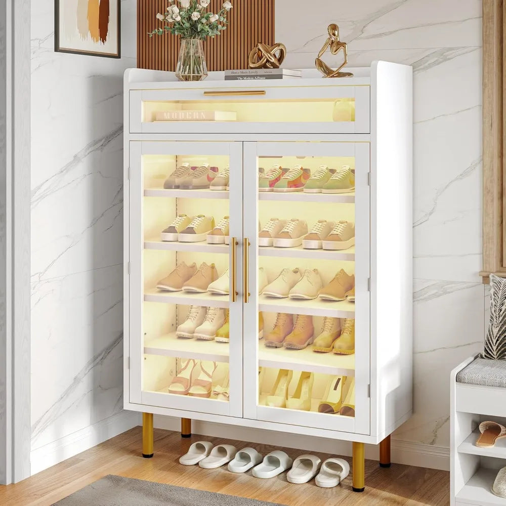 Modern Shoe Storage Acrylic