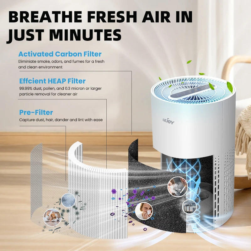 Air Purifier For Allergies And Pets Hair