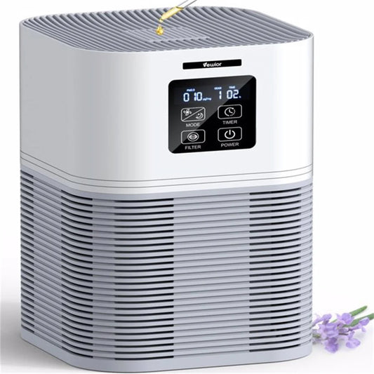 2-in-1 Air Purifier With Filters for Home Allergies